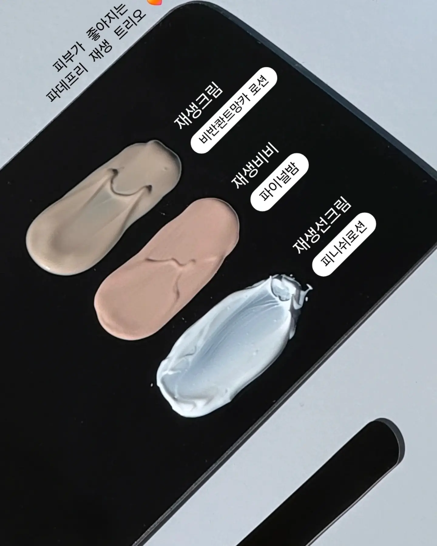 벨트 파우치 6