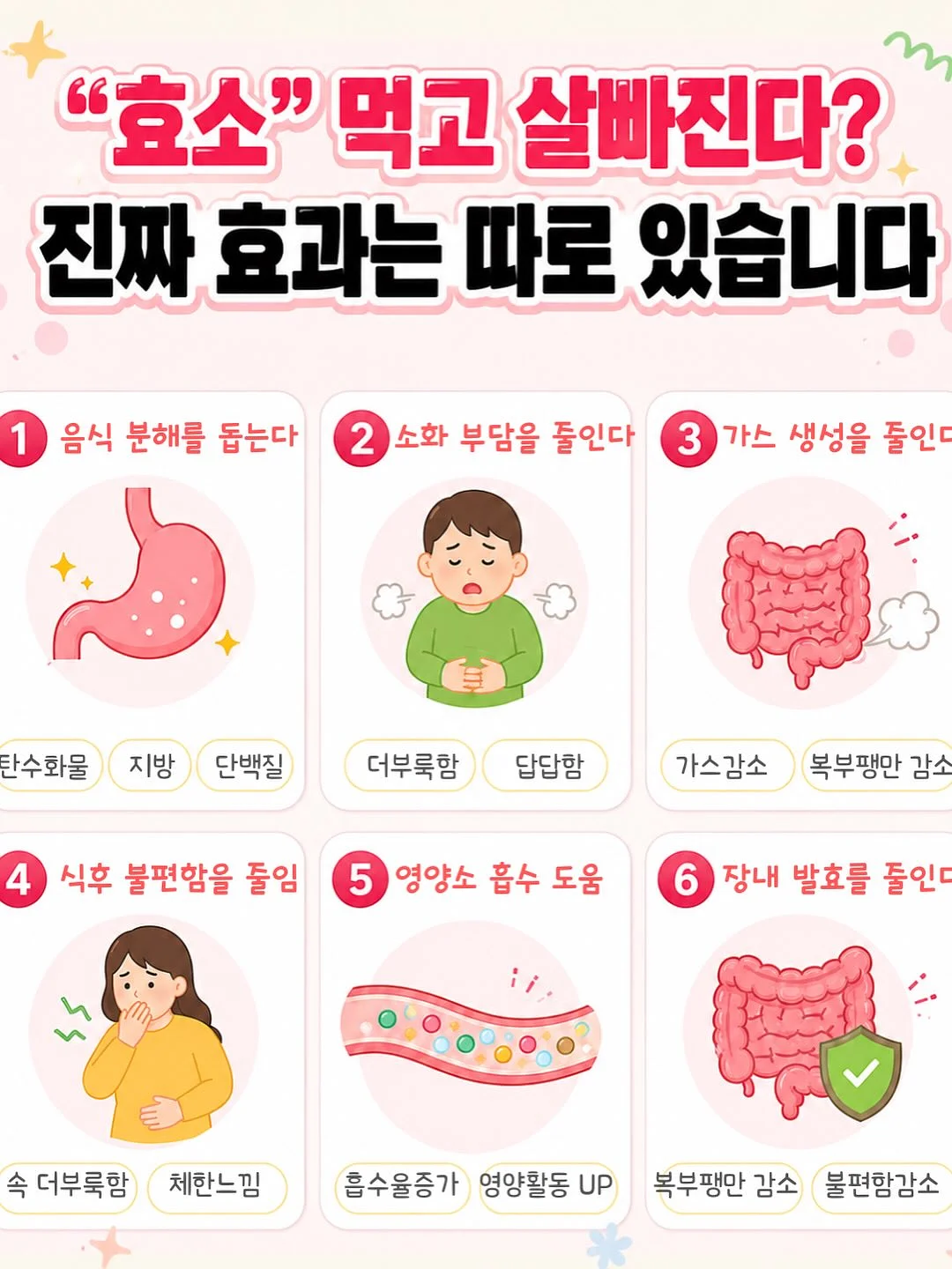 아오스 그래놀라 12