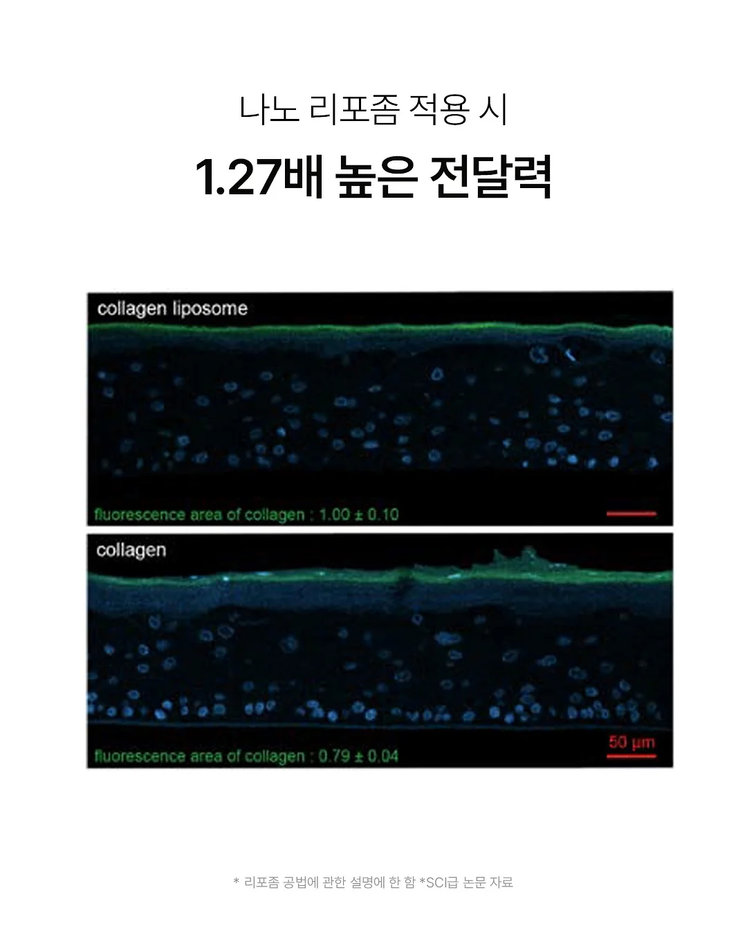 피코베리 클립매트 6