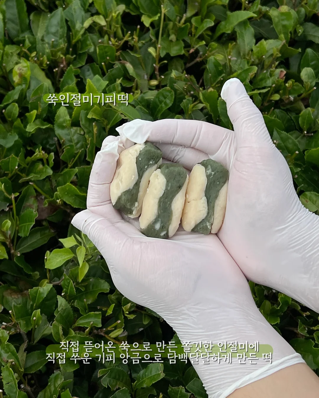 이탈왁스 3