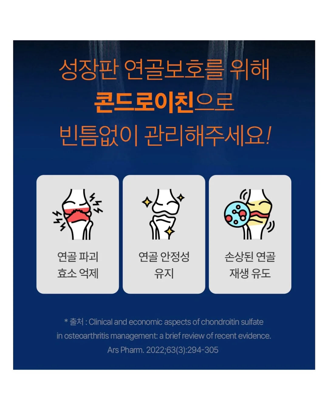 리퐁이 비문 목걸이 11