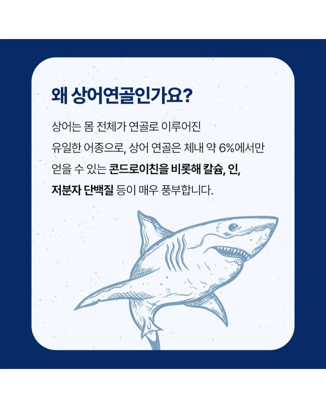 리퐁이 비문 목걸이 13