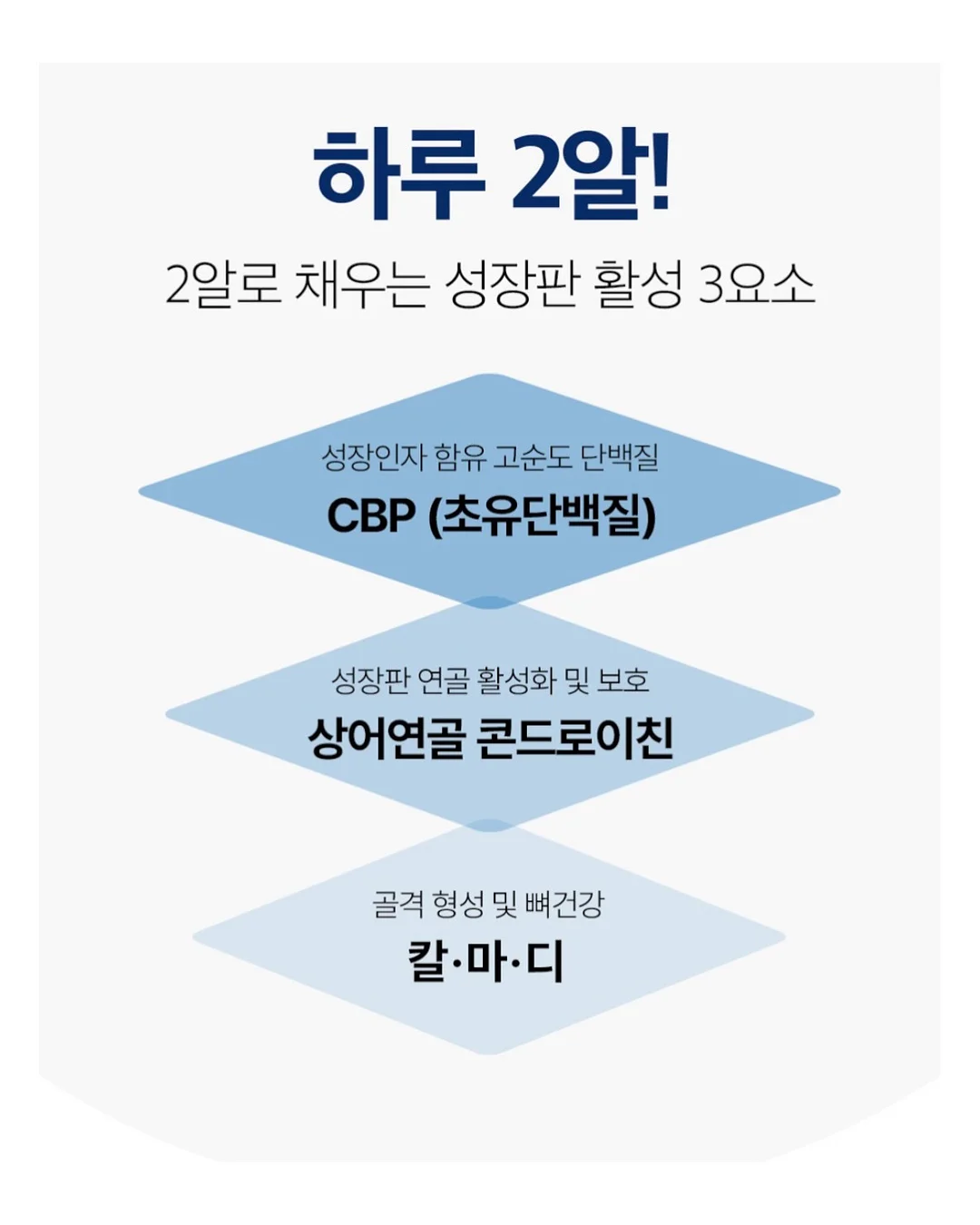 리퐁이 비문 목걸이 18