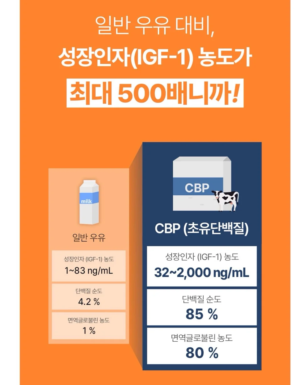 리퐁이 비문 목걸이 4