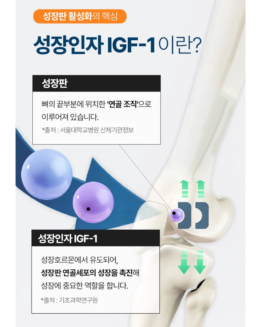 리퐁이 비문 목걸이 5