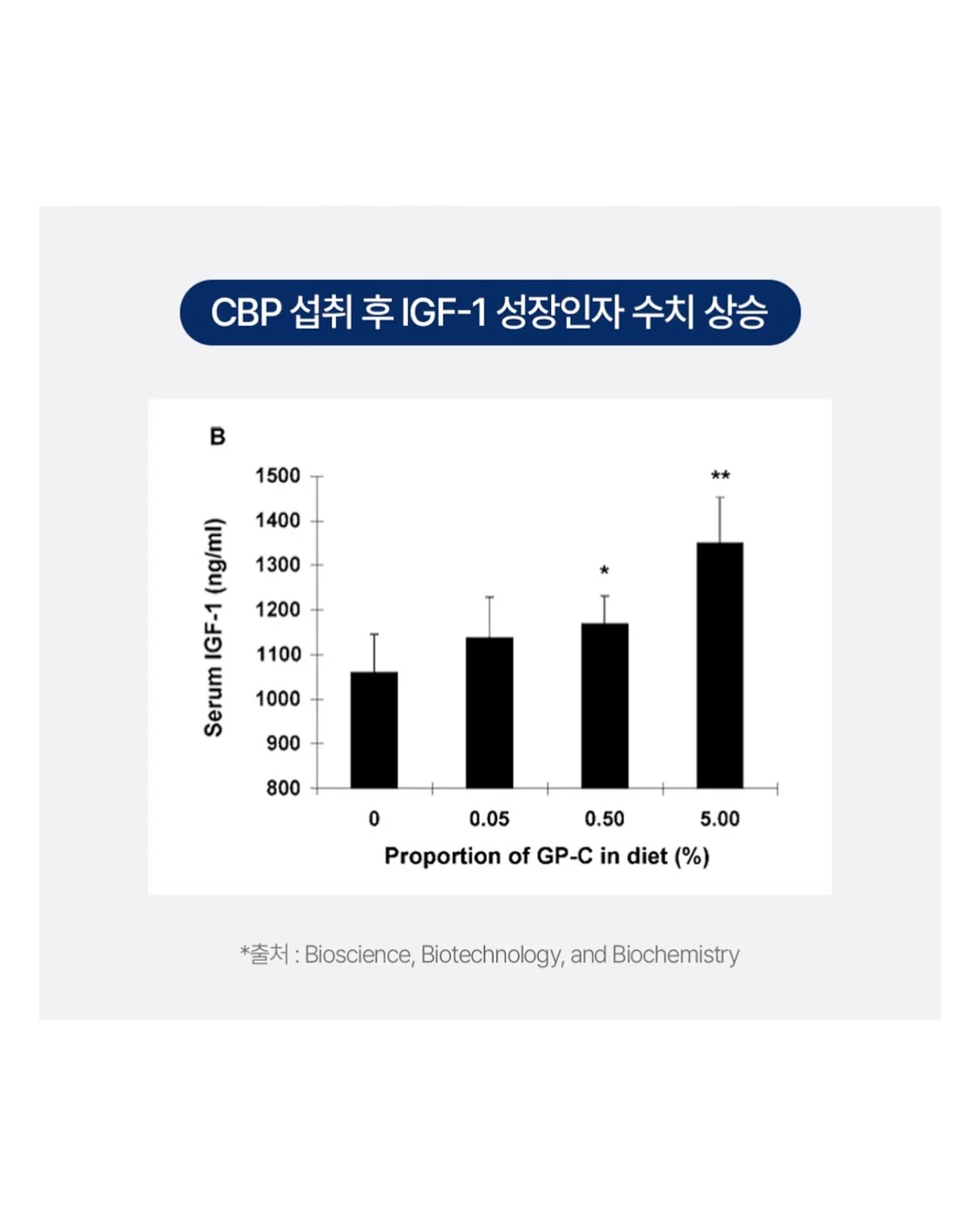리퐁이 비문 목걸이 6