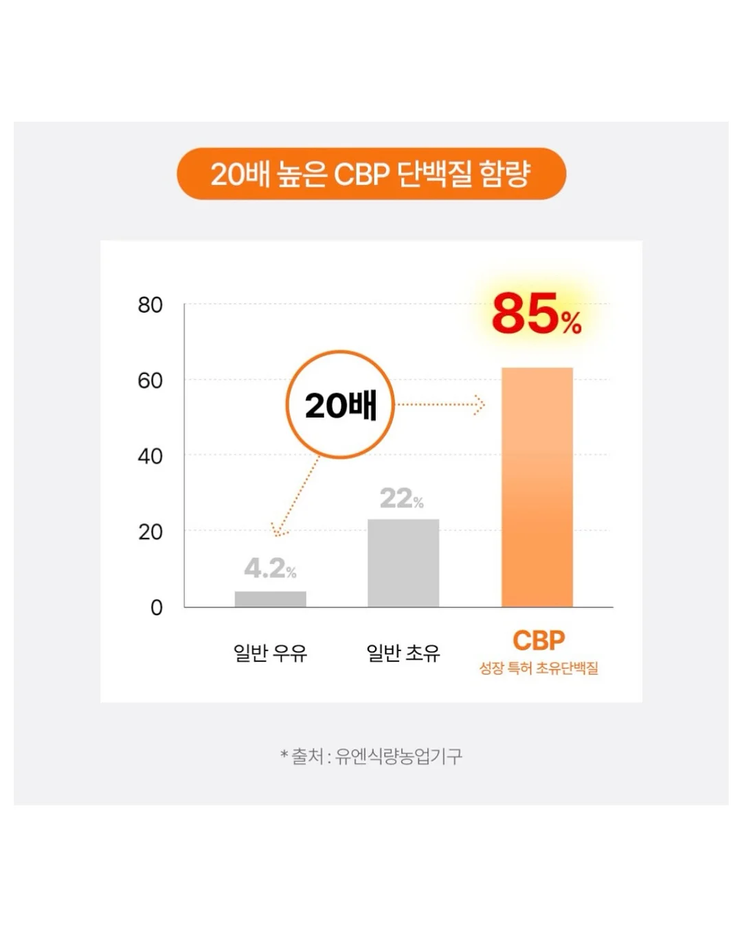 리퐁이 비문 목걸이 7
