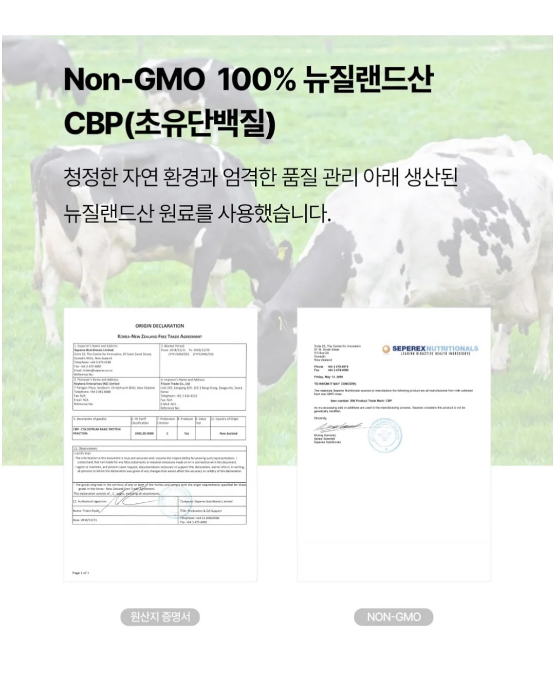 리퐁이 비문 목걸이 8