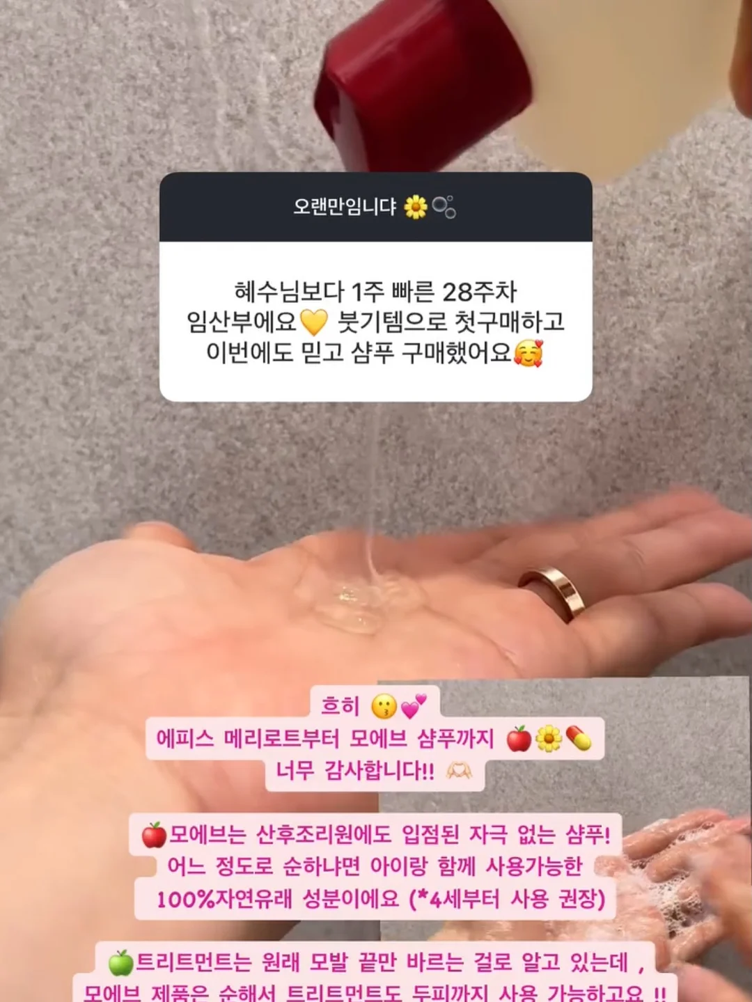 마운트리버 S600 7