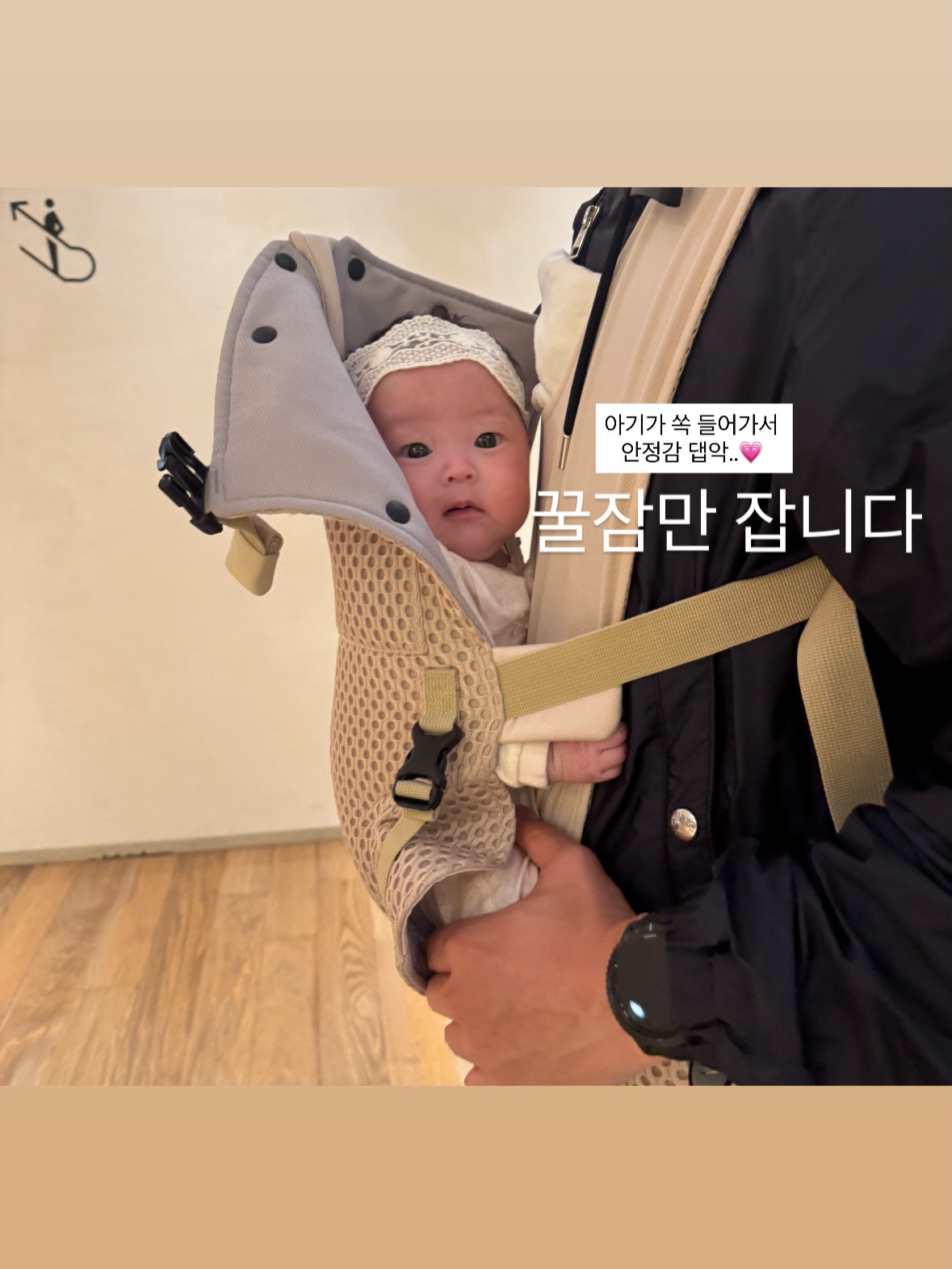 식억환 14