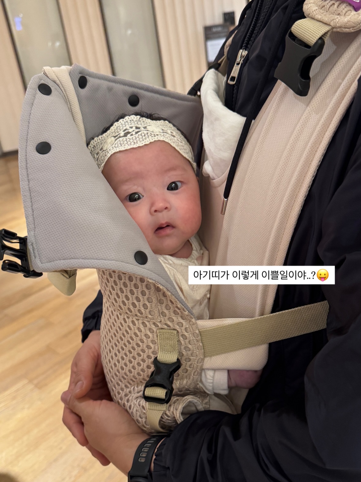 식억환 15