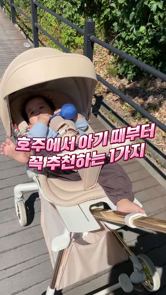 양배추 계란 꿀식단