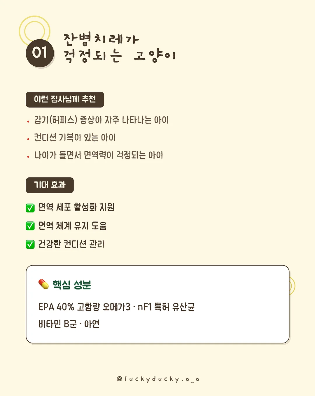 메종 카라티 6
