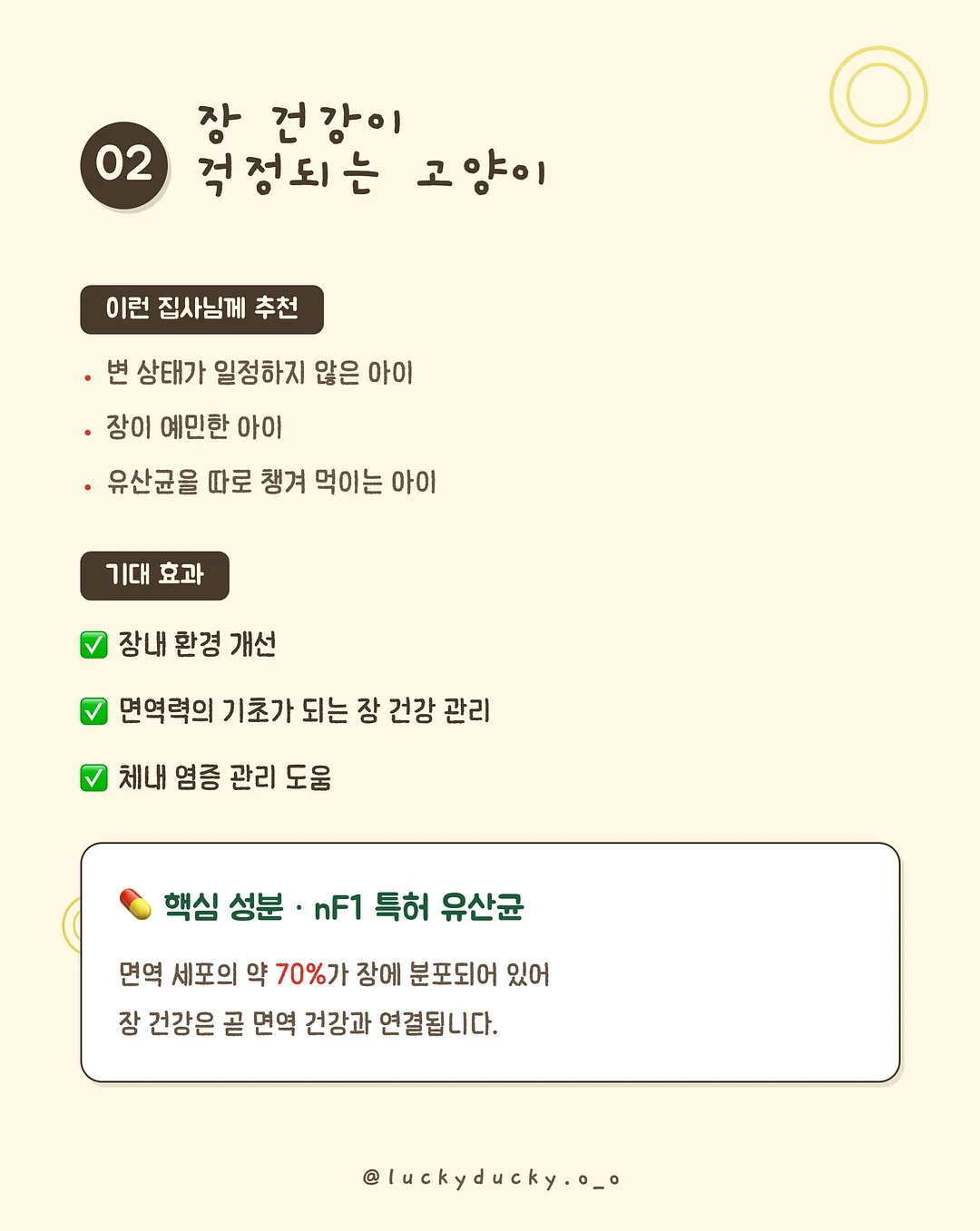 메종 카라티 7