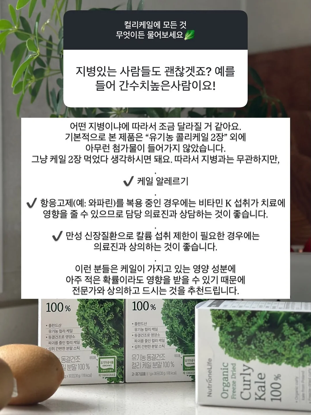 슬림브런치 레시피 11