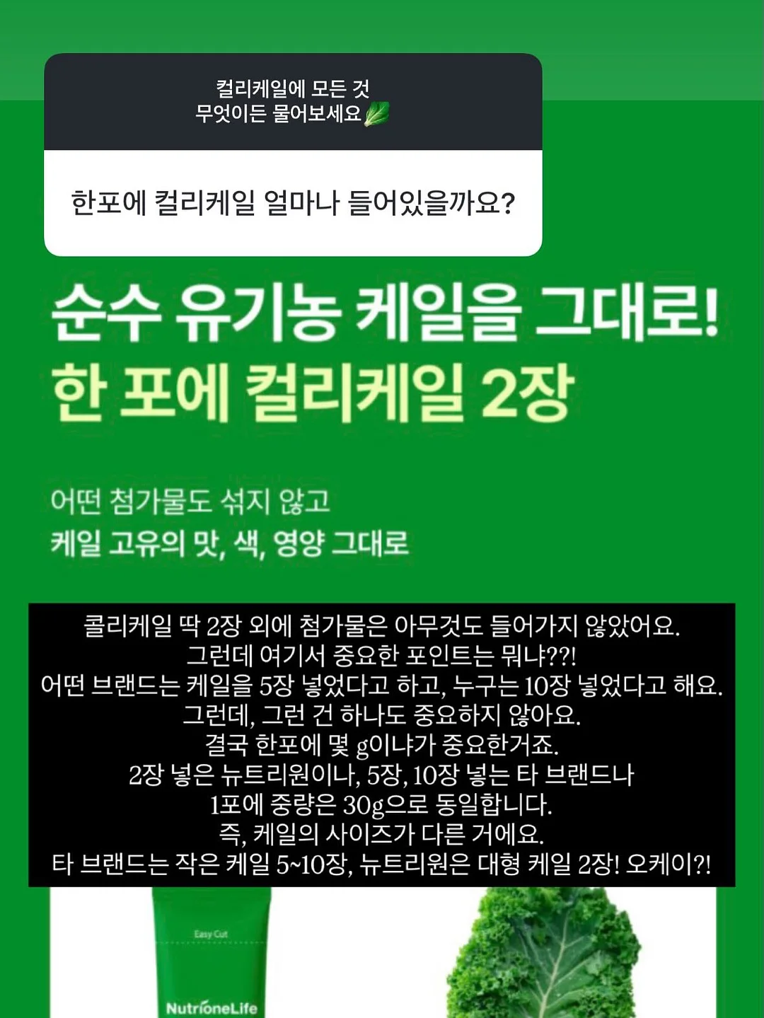 슬림브런치 레시피 14