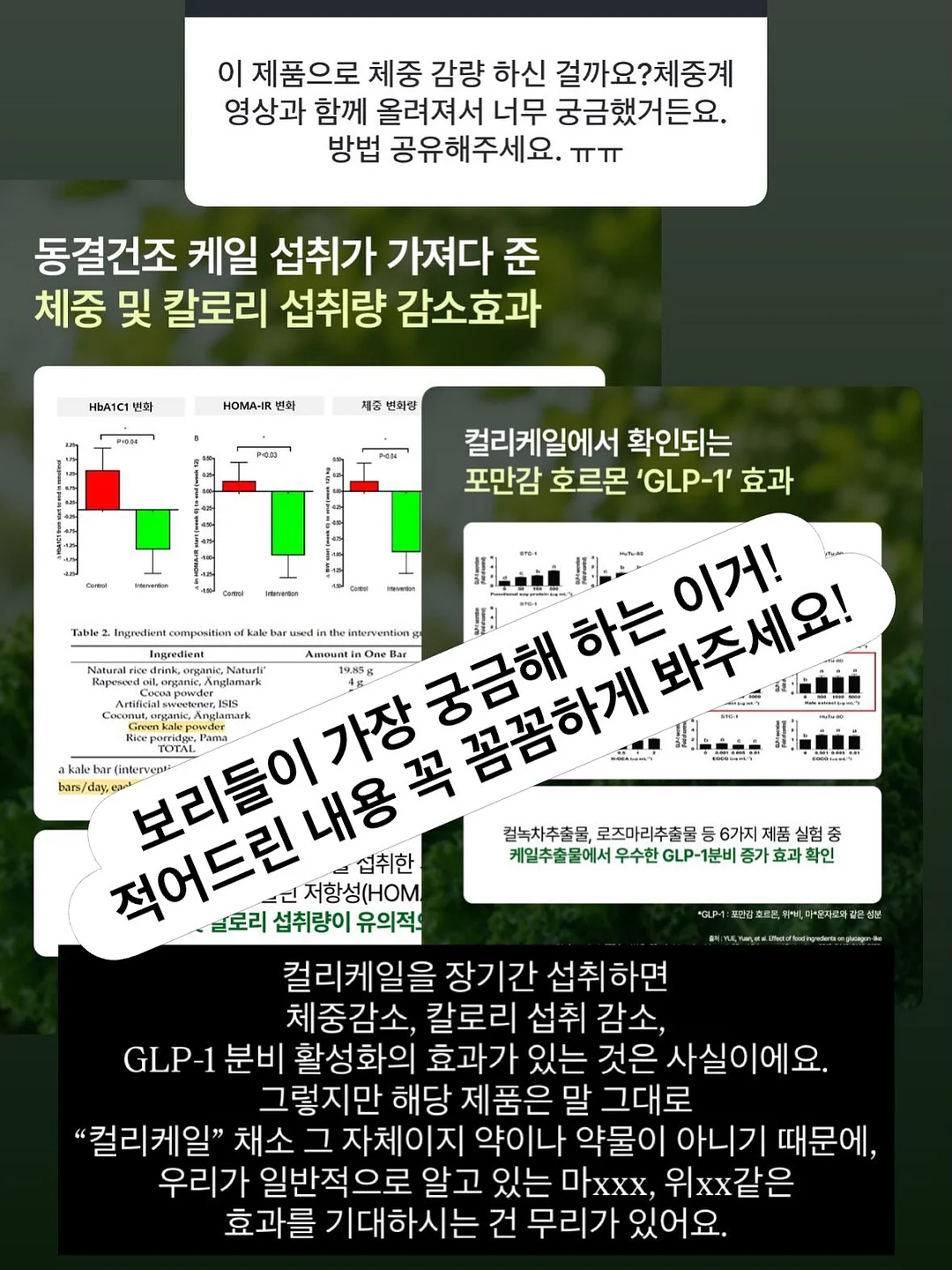 슬림브런치 레시피 15