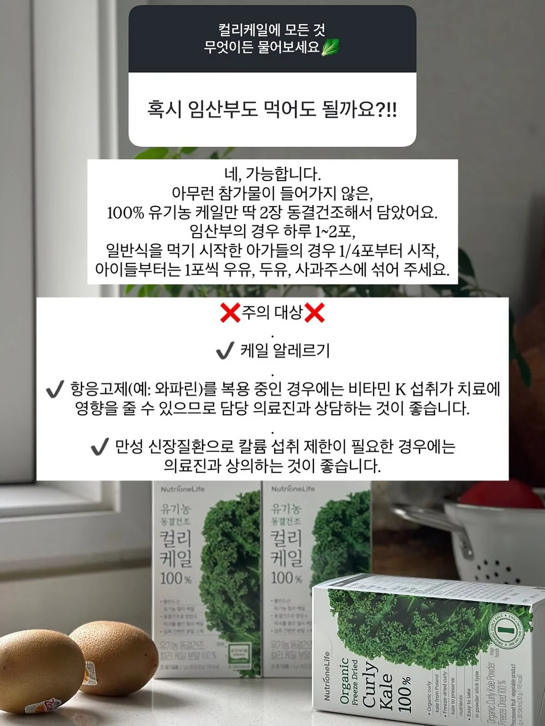 슬림브런치 레시피 10
