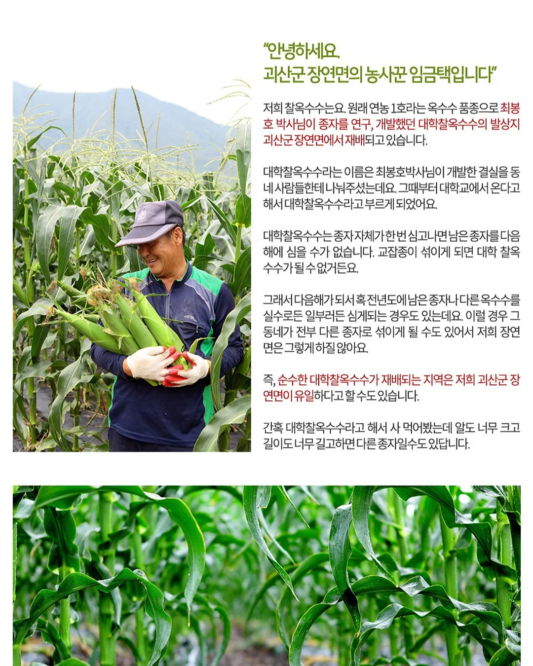 오감의 아이들과 풍선 주스 6