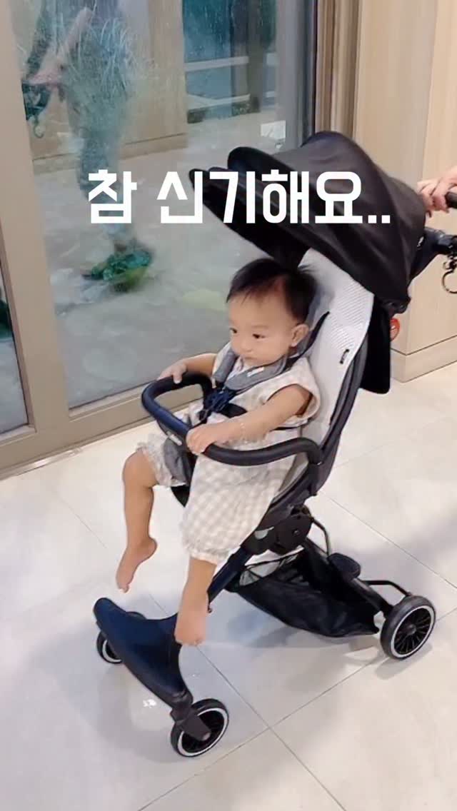 대라 루미밤