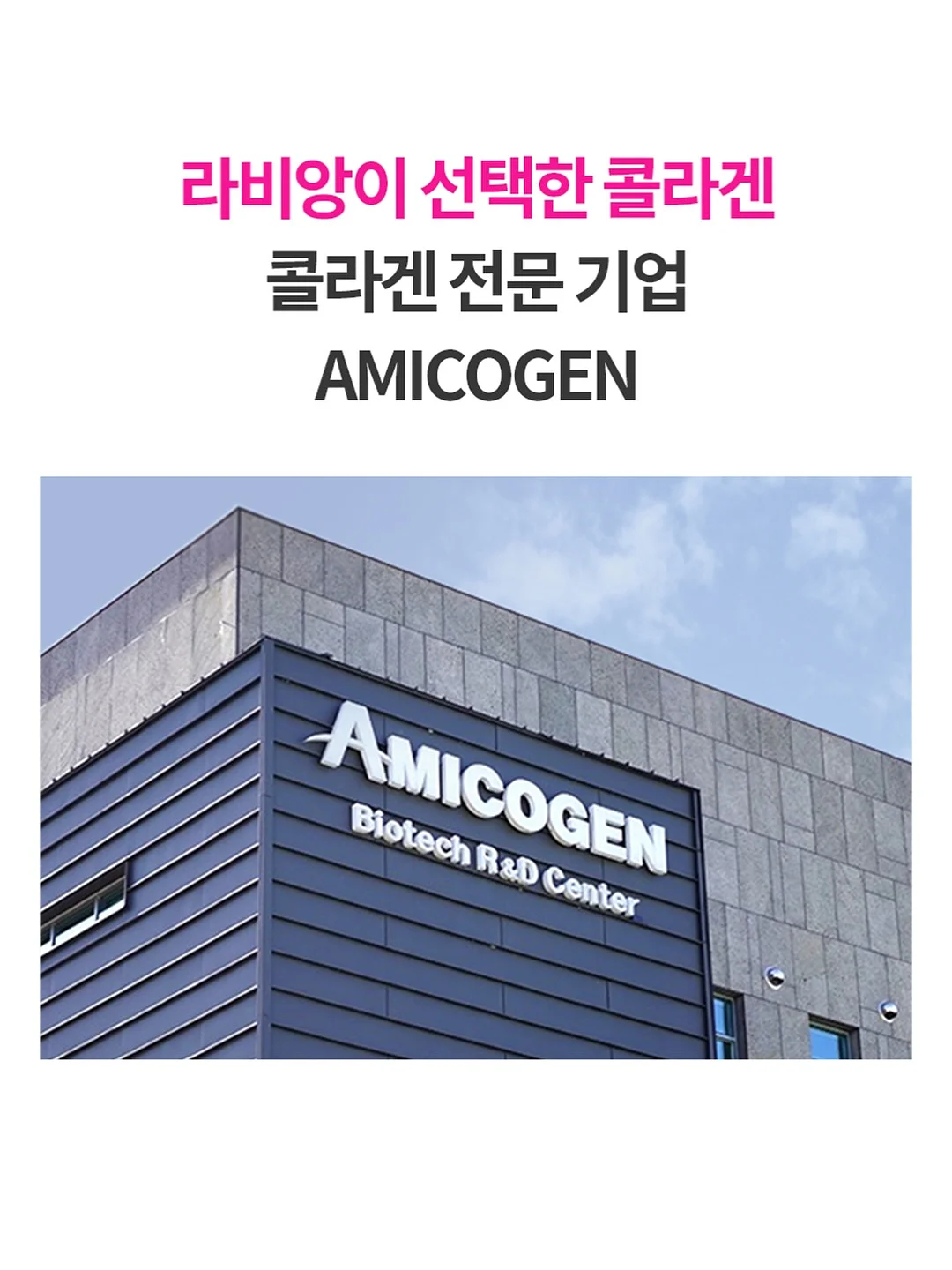 단톤 볼캡 4