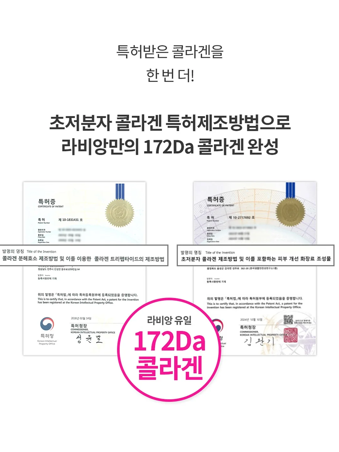 단톤 볼캡 5