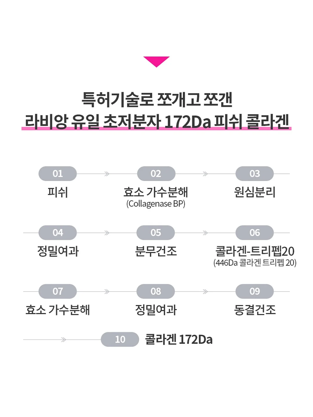 단톤 볼캡 6
