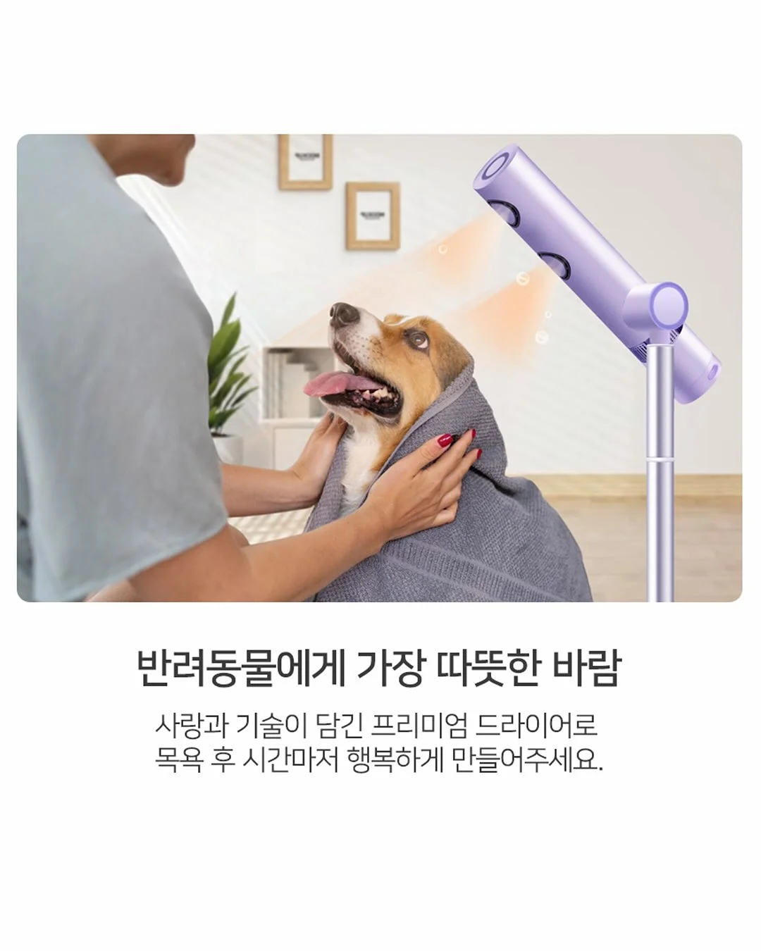 월향보리굴비 16