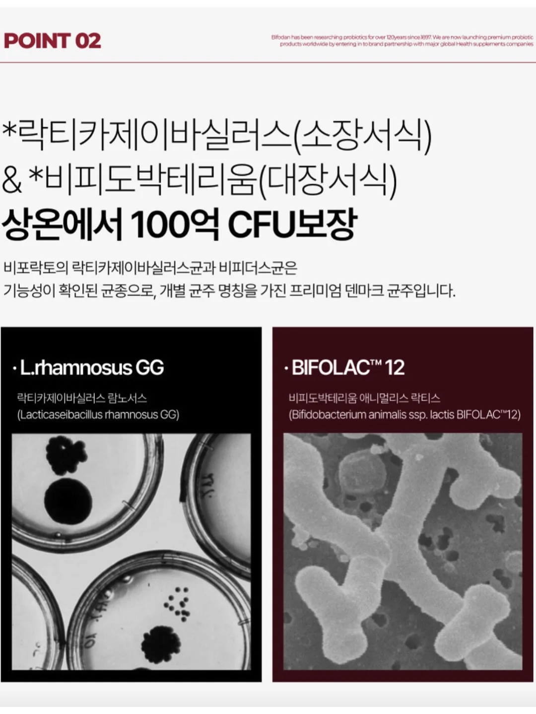 스트링슬림팬츠 4