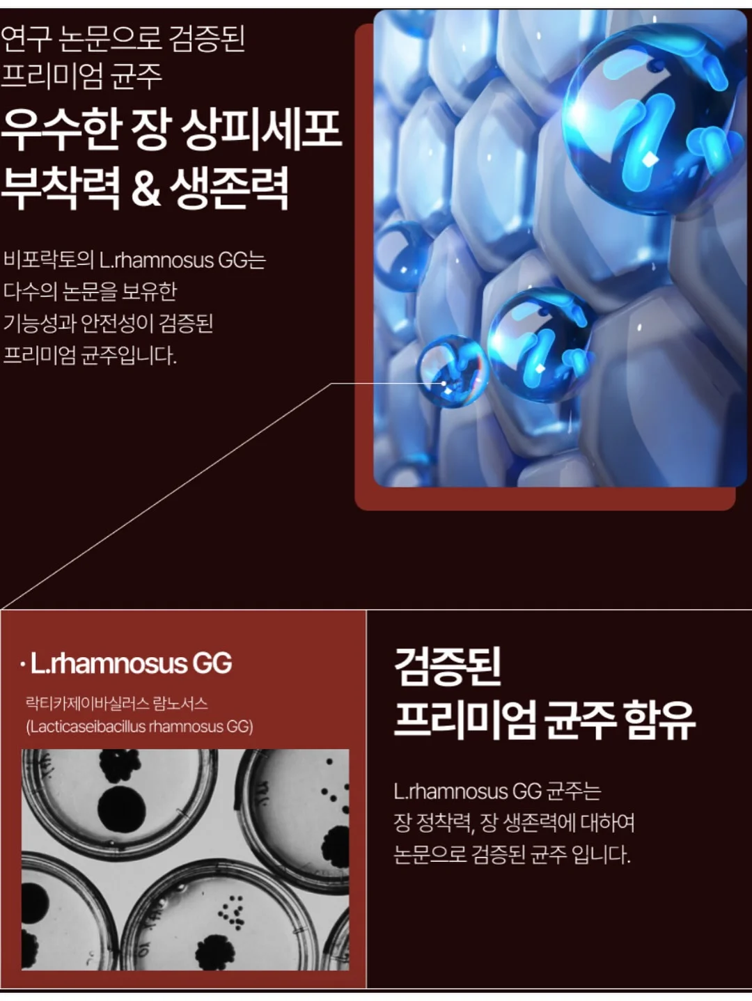 스트링슬림팬츠 5