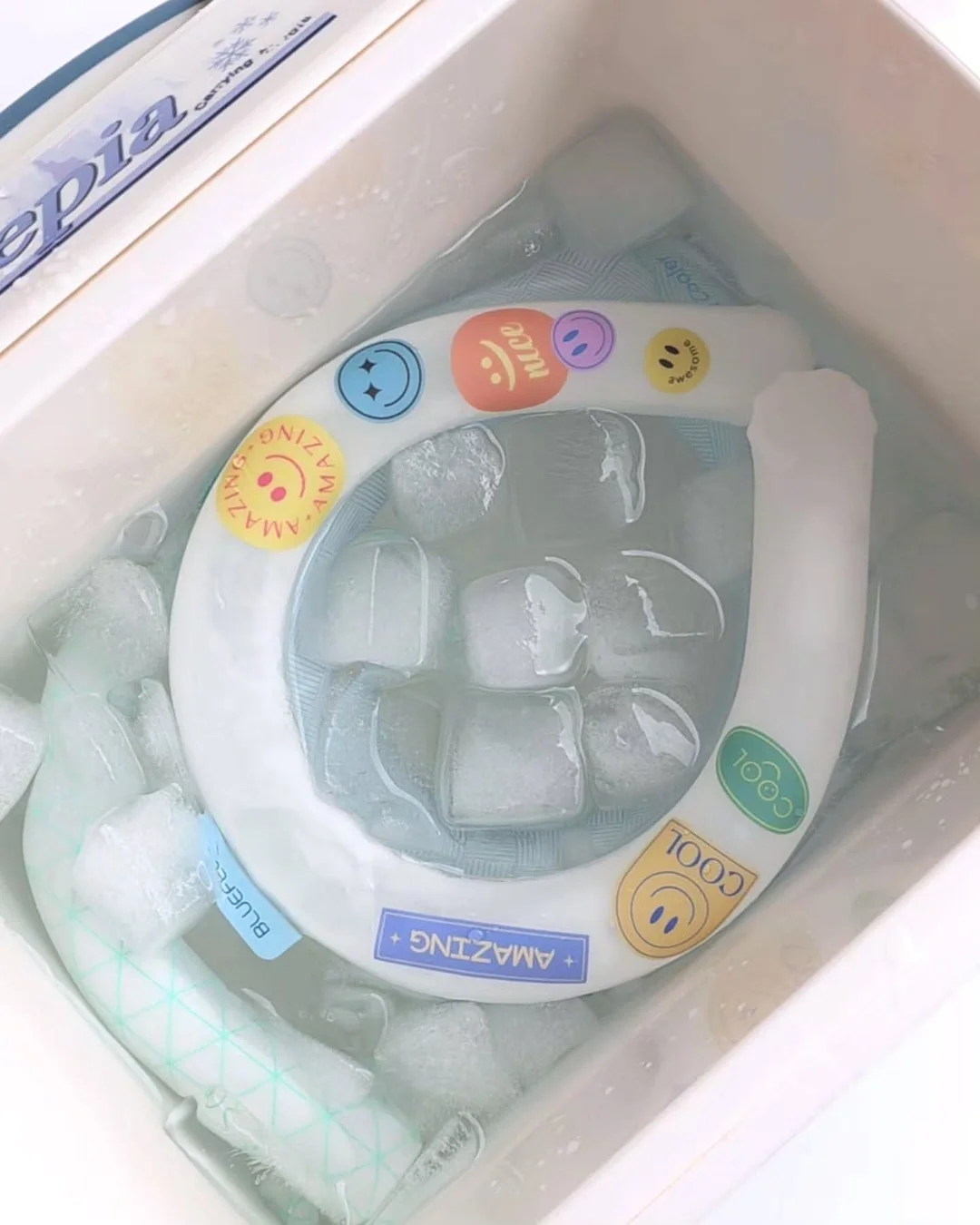 디클래시 CaHA 콜라겐부스터 13