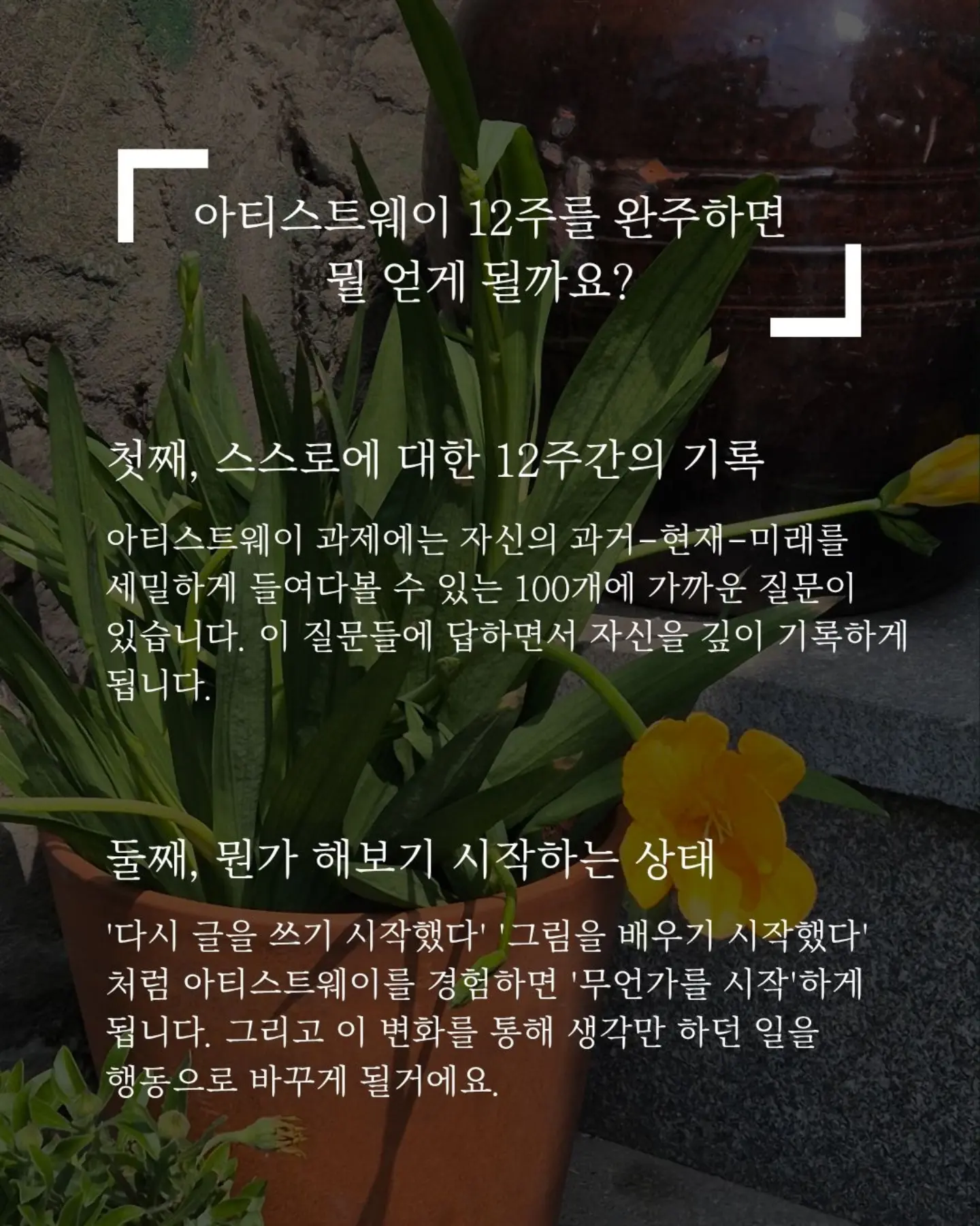먼슬리팩 6