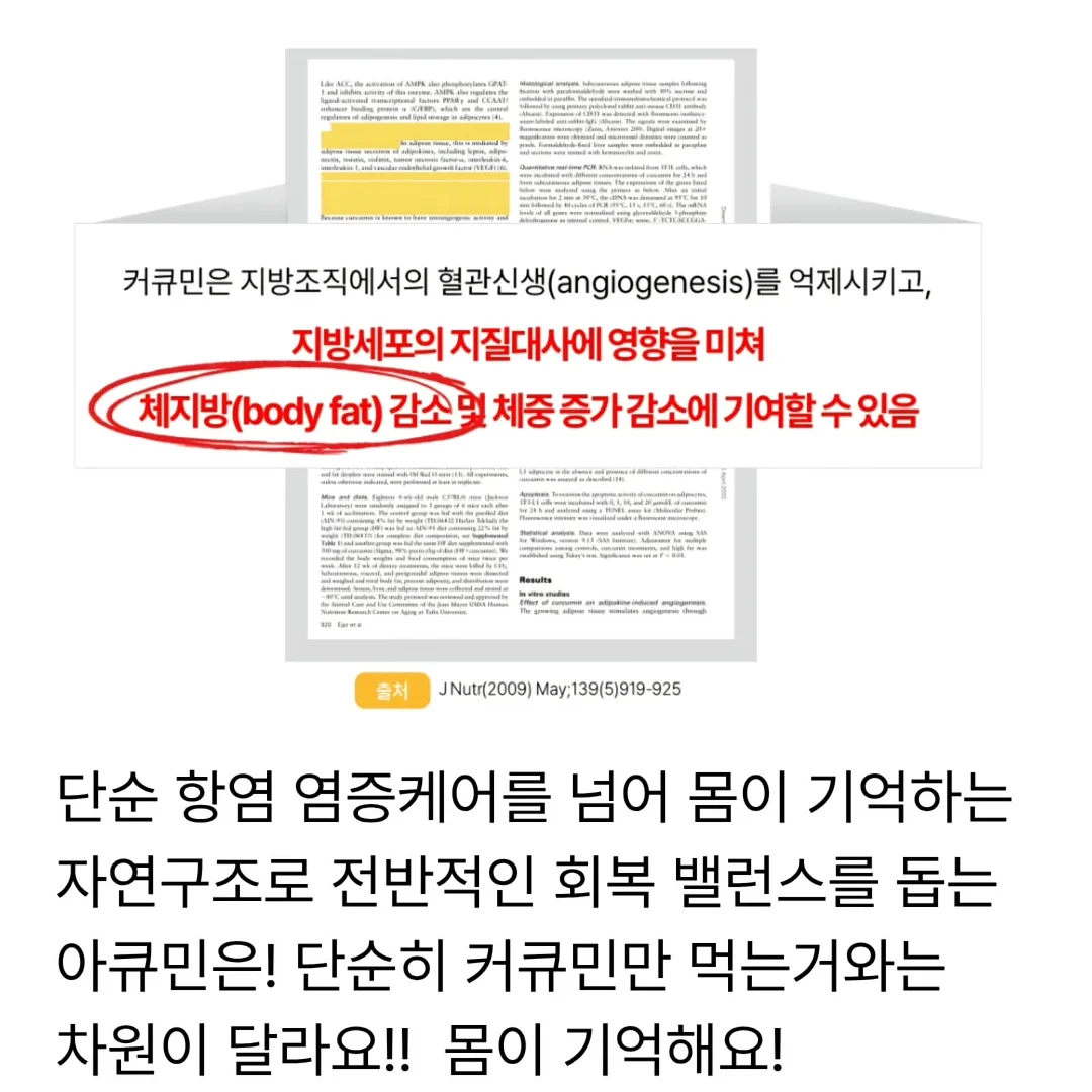 차렵이불 7