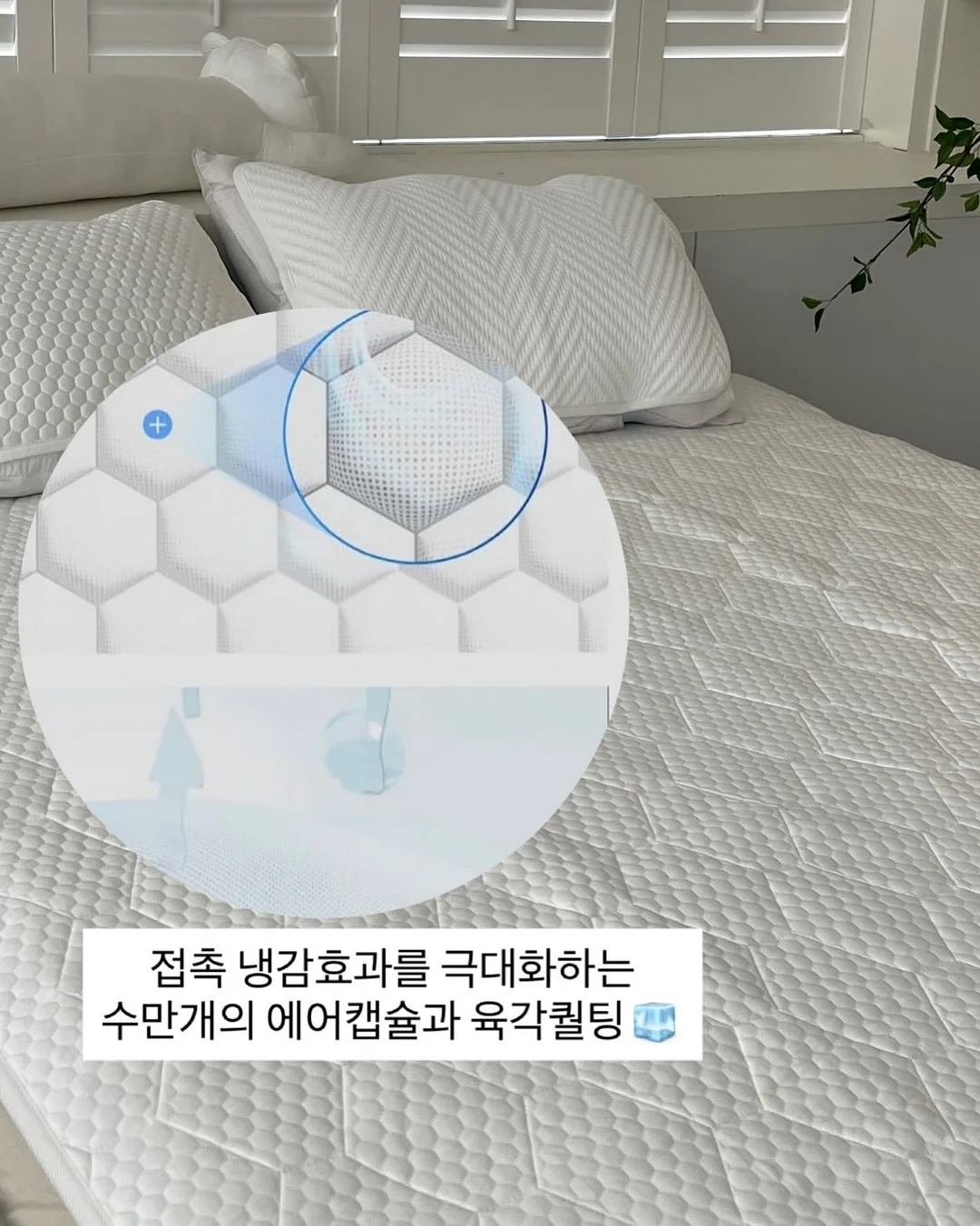 애니멀 스토리 반팔 티셔츠 7