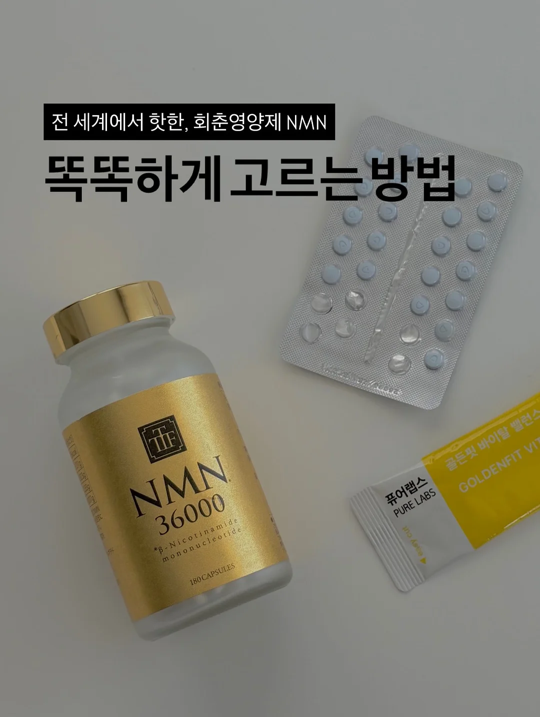 정부 자금 지원 11