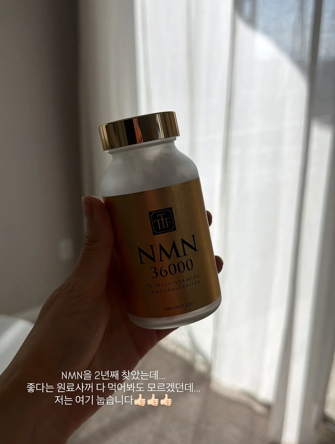 정부 자금 지원 12