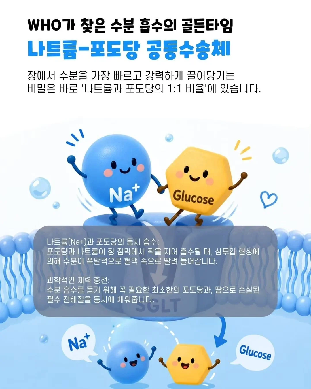 천일문 스타터 영어 수업 9