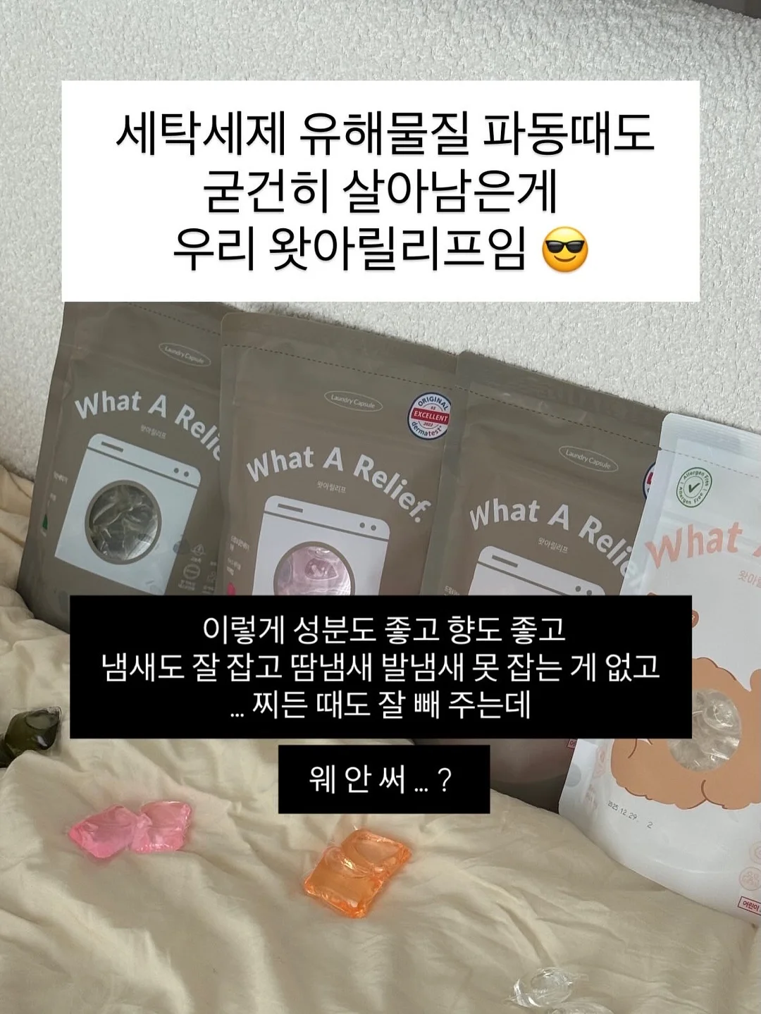 컬러초점책 12