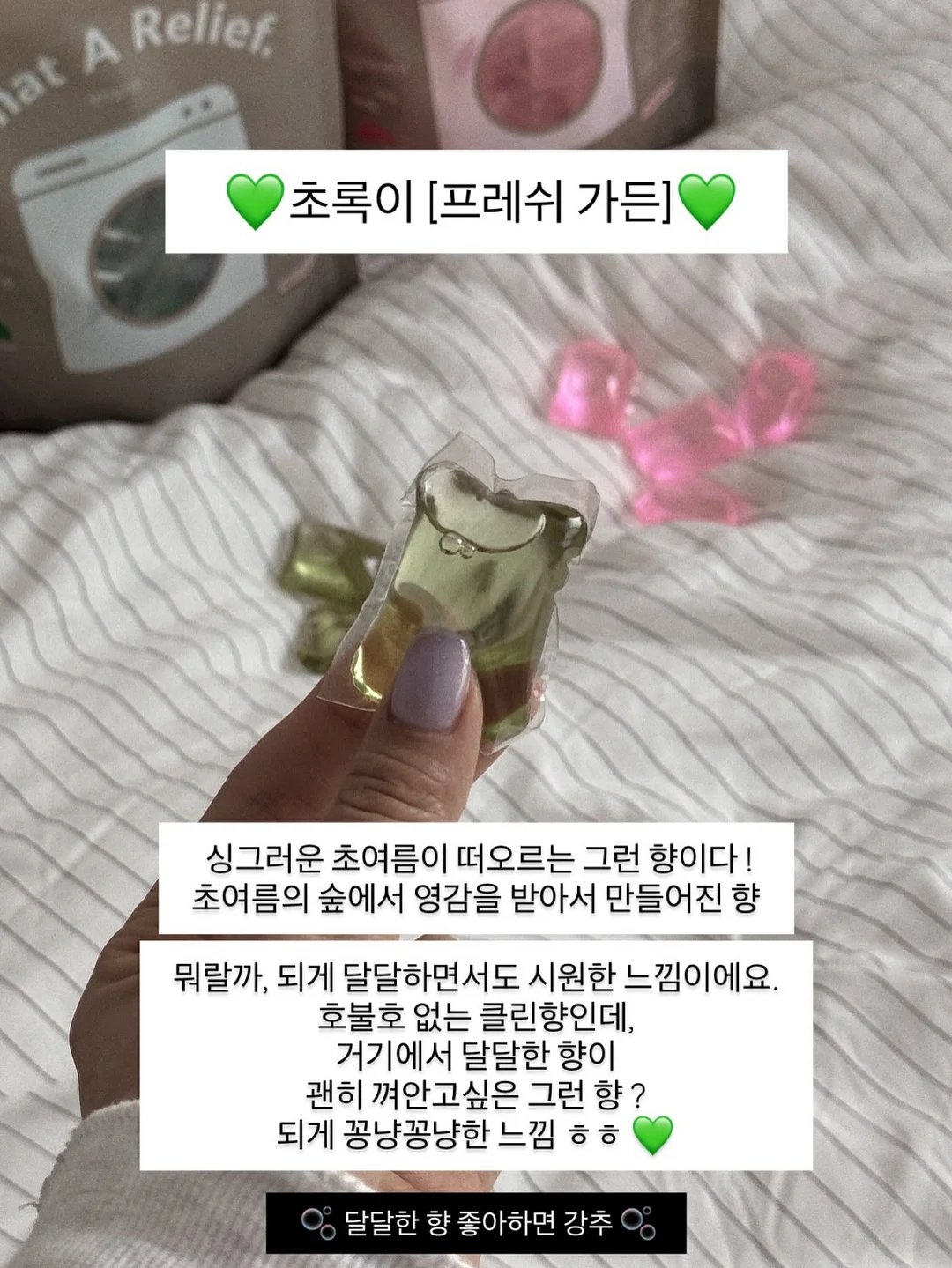컬러초점책 14