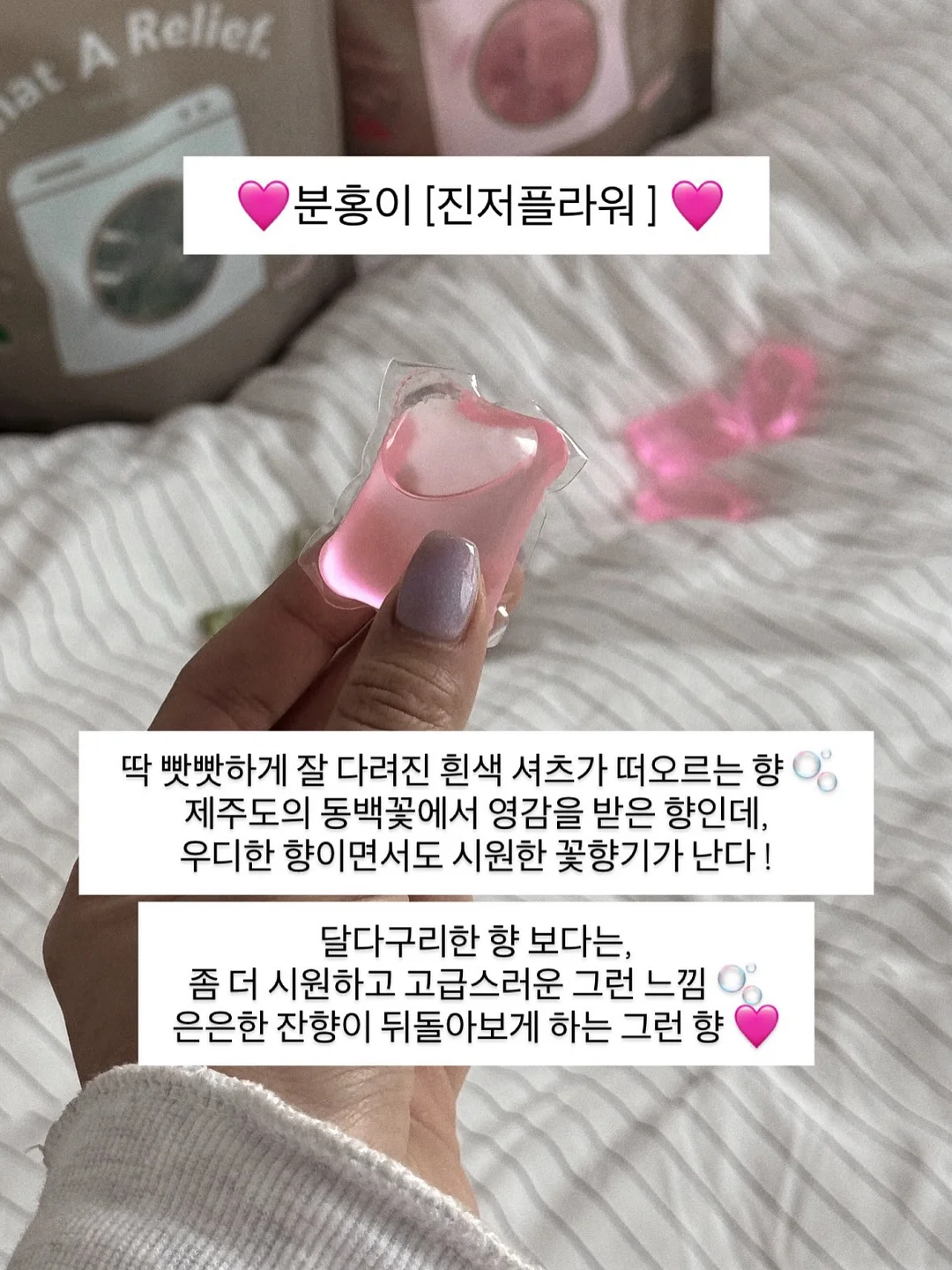 컬러초점책 15