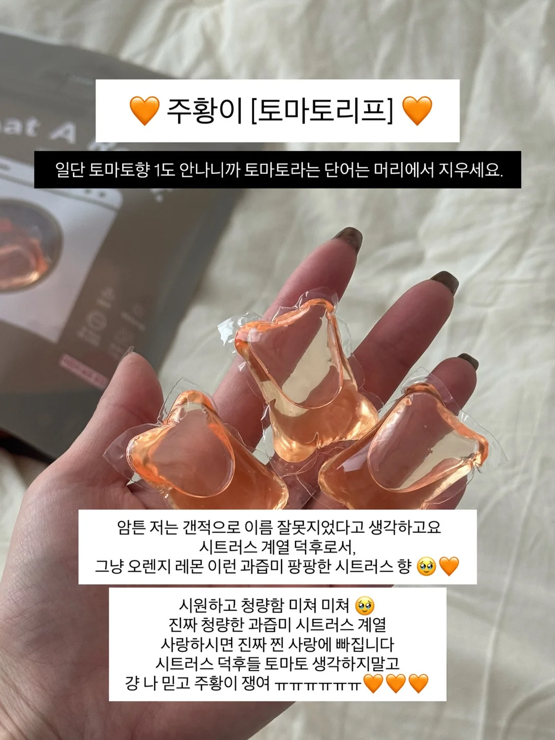 컬러초점책 16