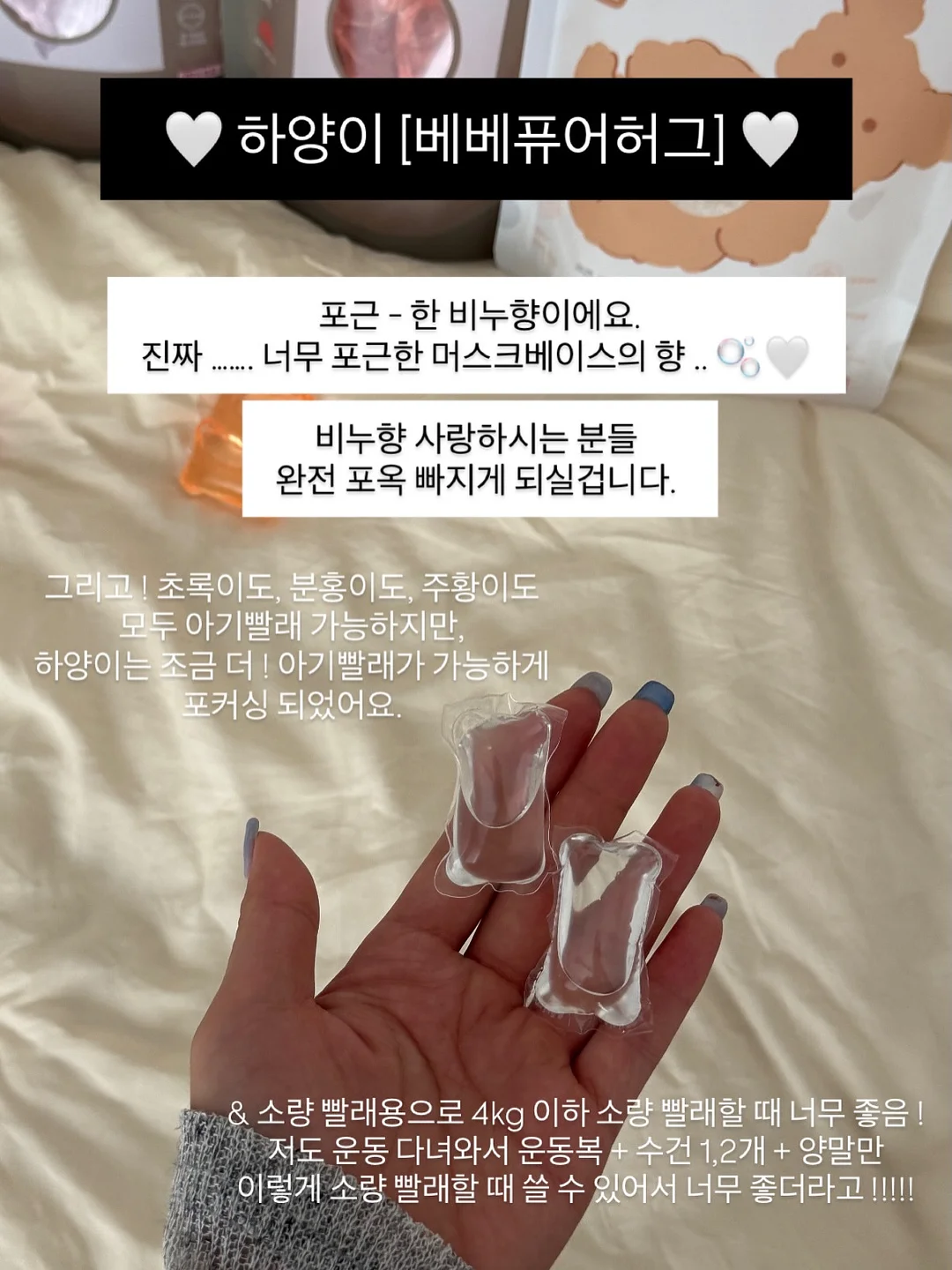 컬러초점책 17