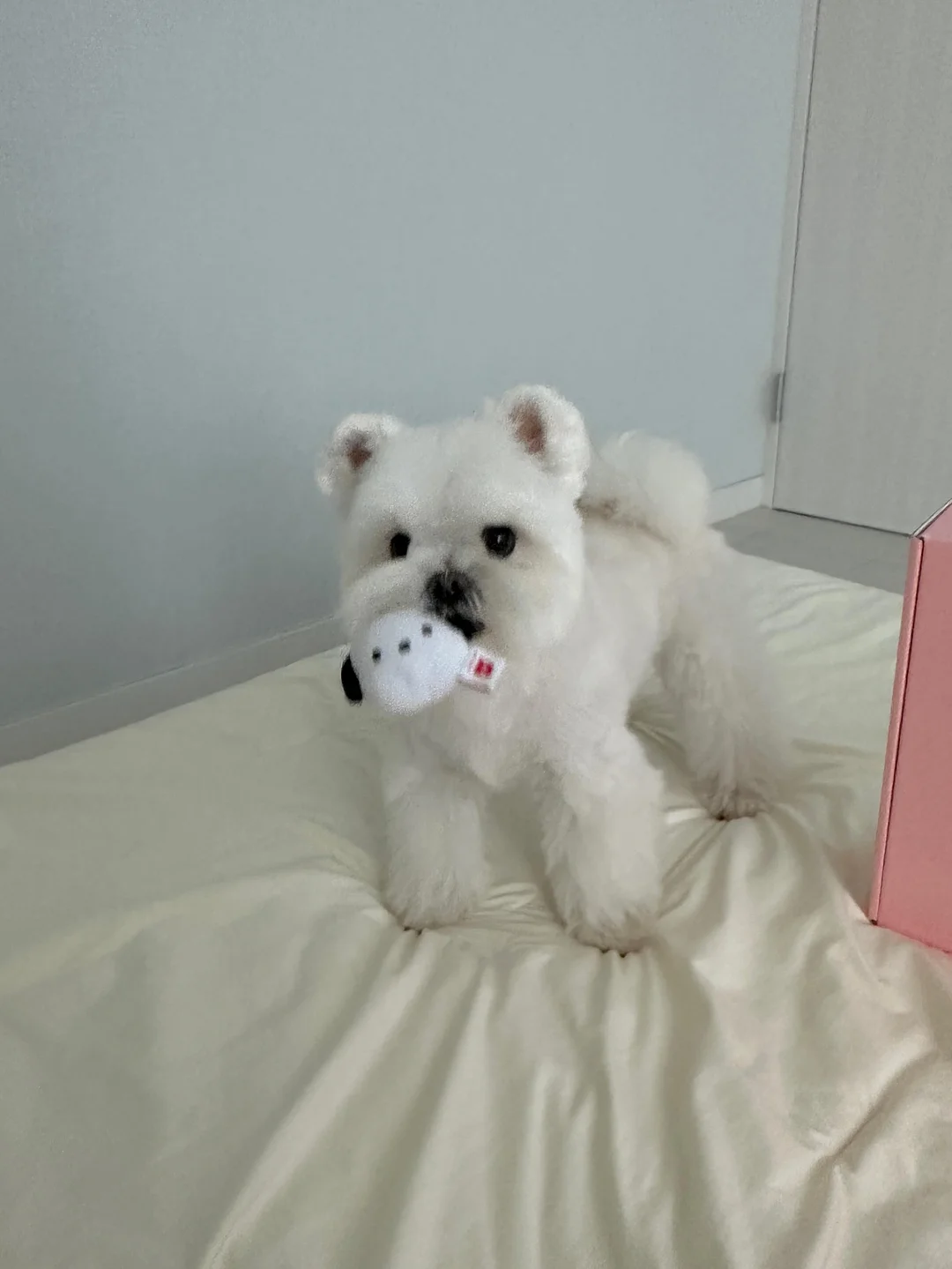 워크 캐주얼 컬렉션 13