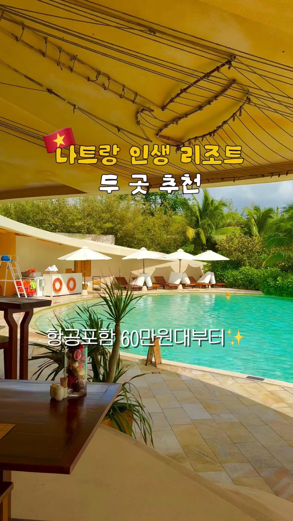 폴로 올리브 set 3pcs