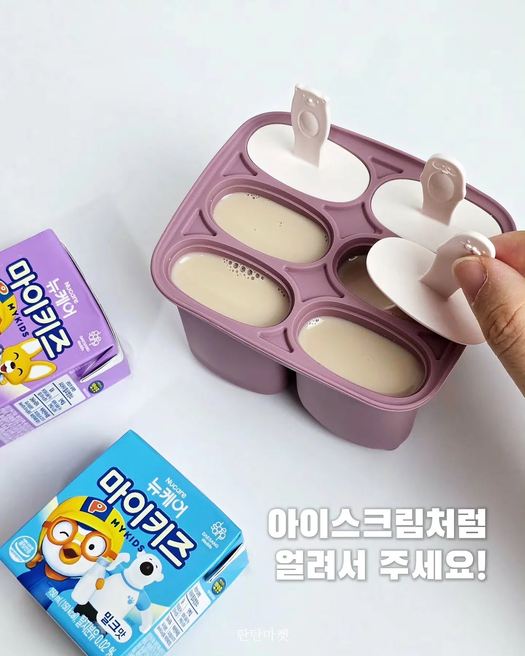 버틀러 주방세제 16