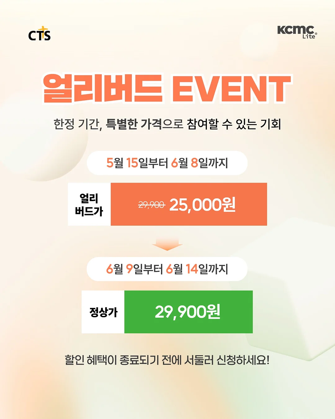 듀엘로 월넛 체어 10