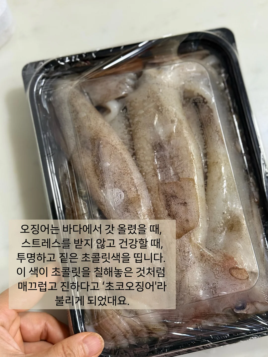 스마일 행잉 그네 화분 3
