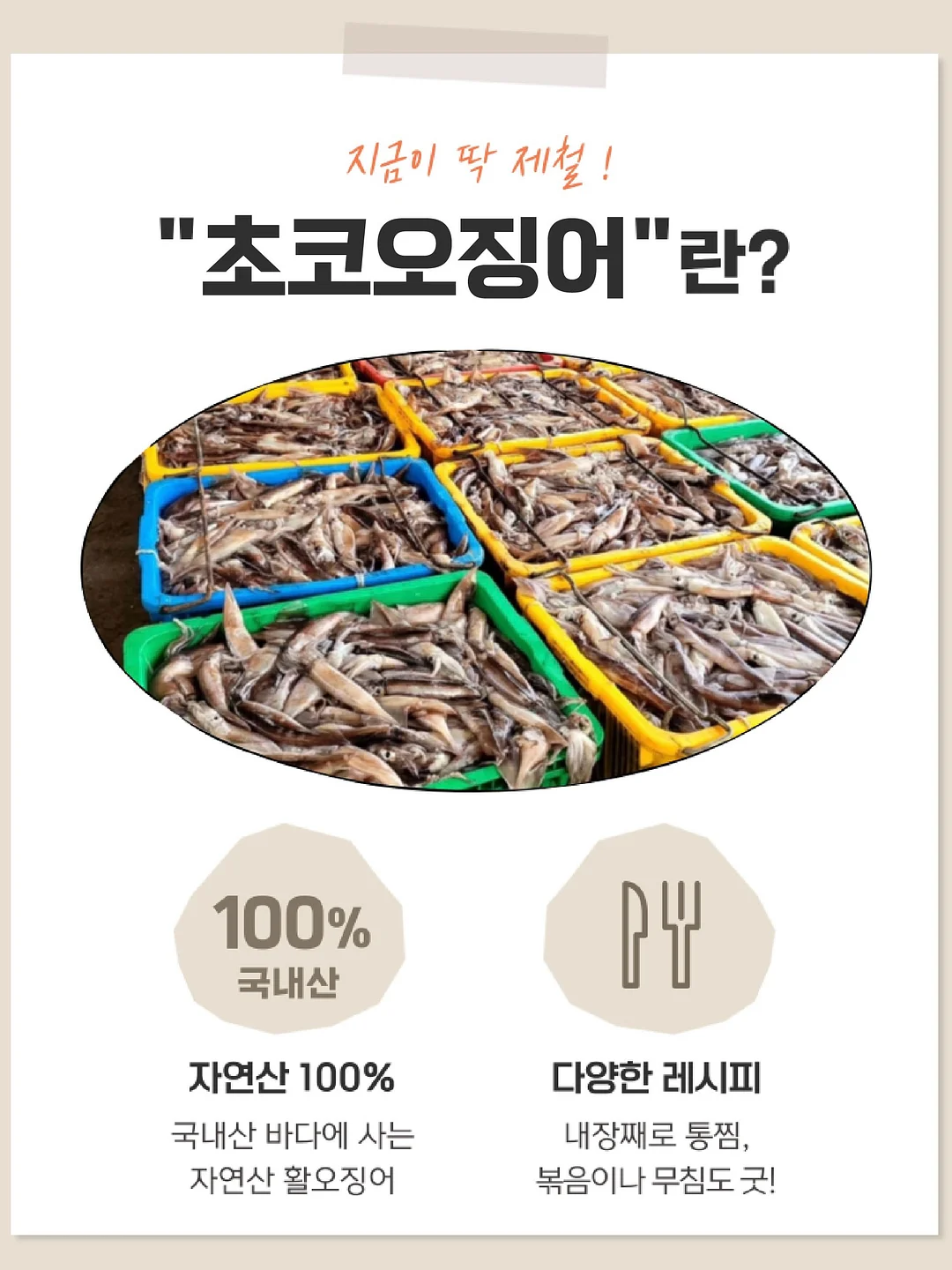 스마일 행잉 그네 화분 10