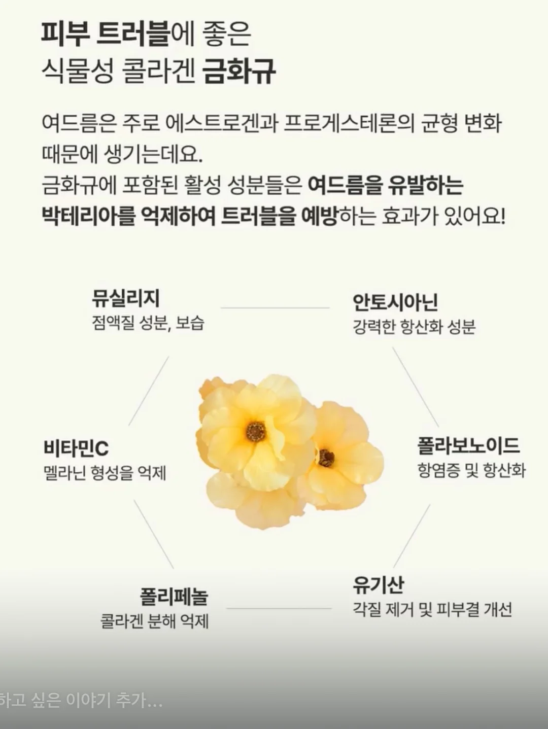 m스니커즈 13