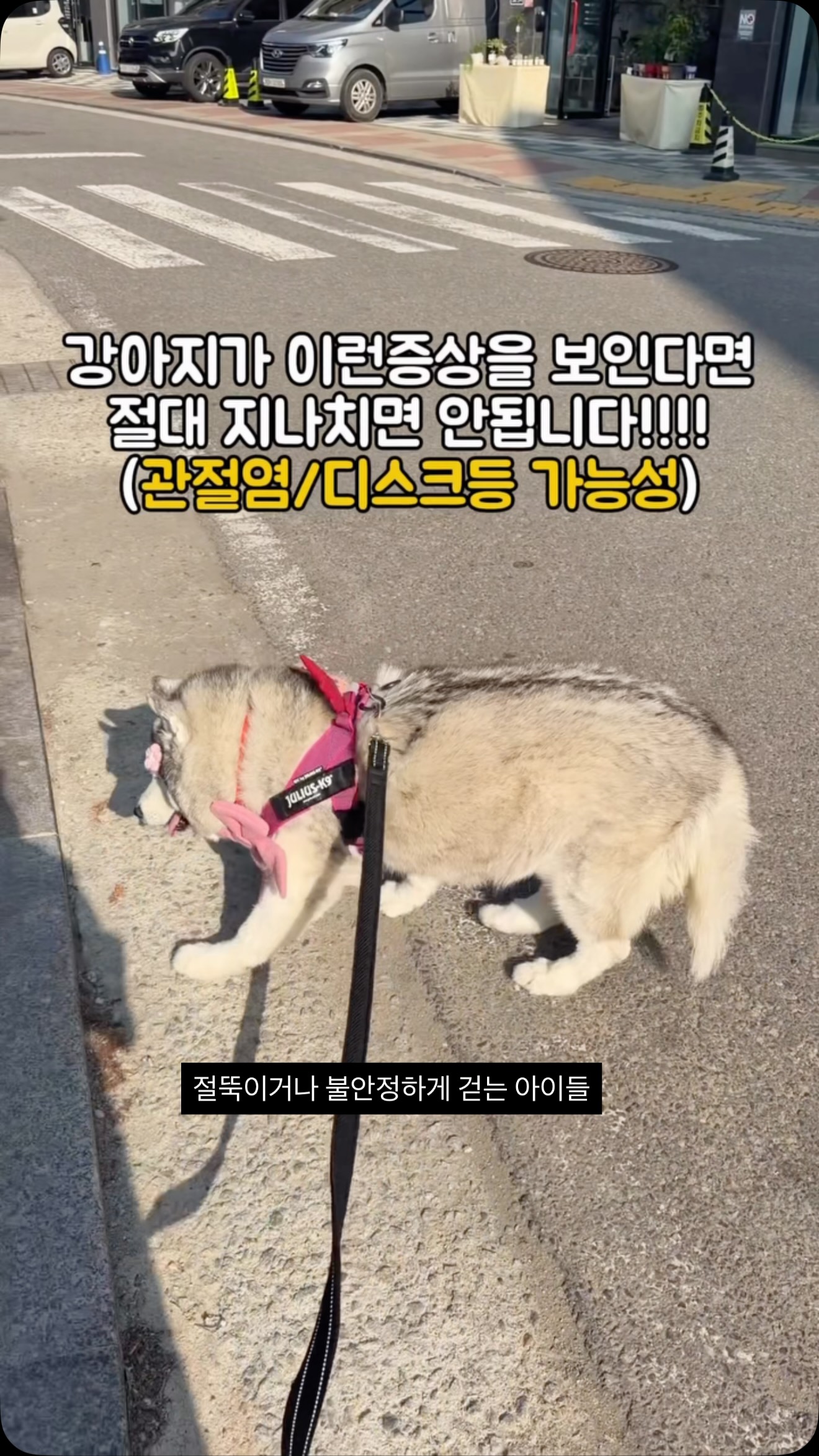 유니콘 레깅스
